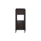 Modern 2-Drawer Caster Serving Cart with Towel Bar